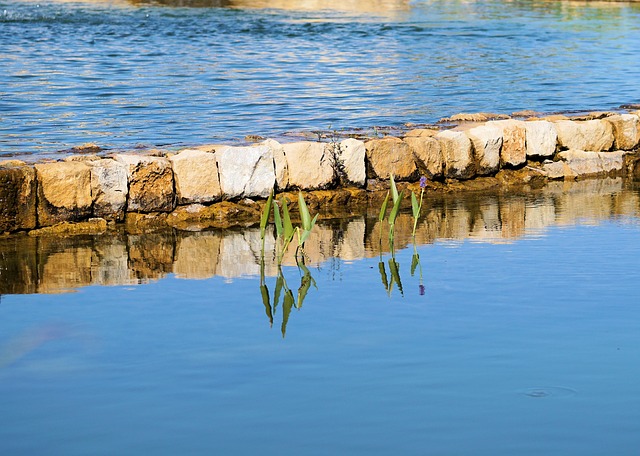 max pond 2585266 640