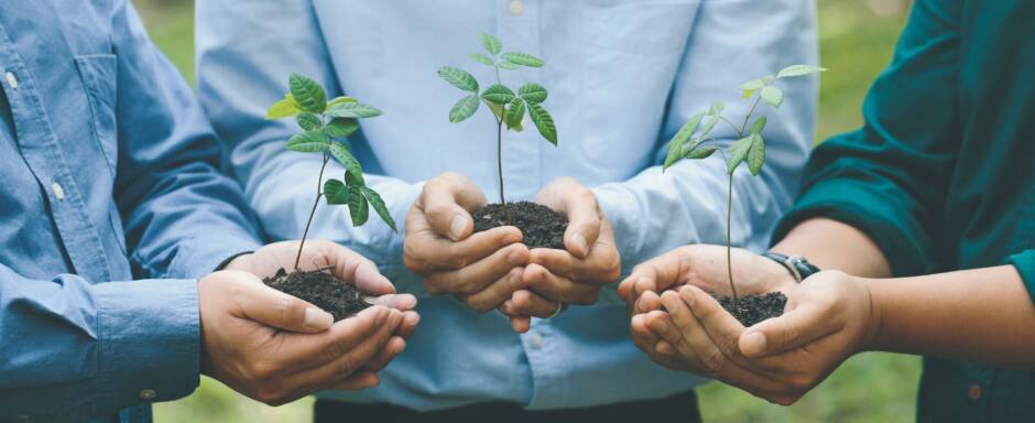 obowiazki przedstiebiorcow 940x384 1