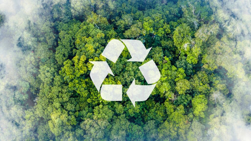 Błędy w ewidencji odpadów w BDO jak ich uniknąć